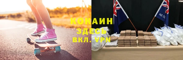 СК Алексин