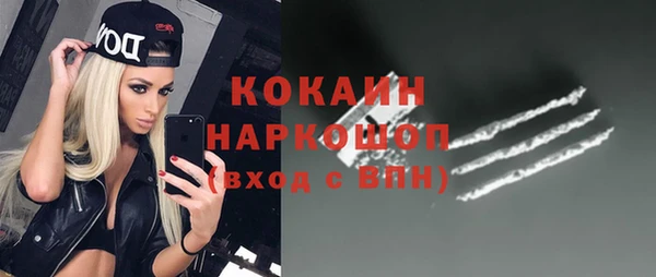стафф Арсеньев