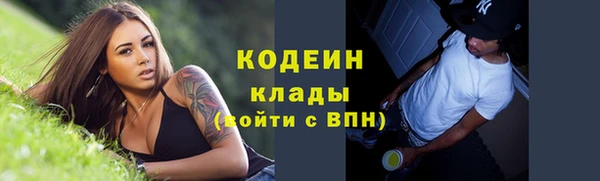 стафф Арсеньев