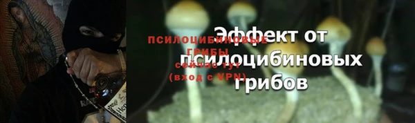 стафф Арсеньев