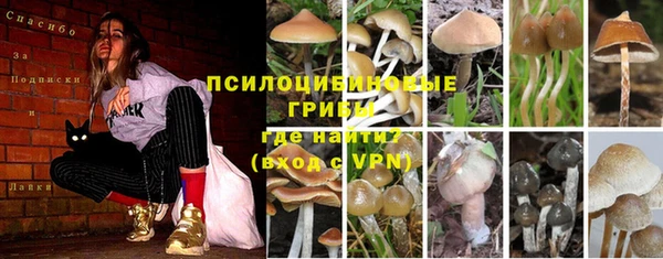 mdpv Аркадак