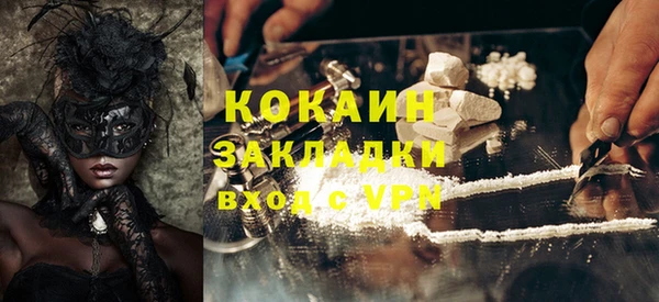 стафф Арсеньев