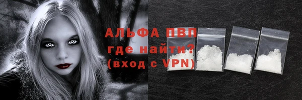 стафф Арсеньев