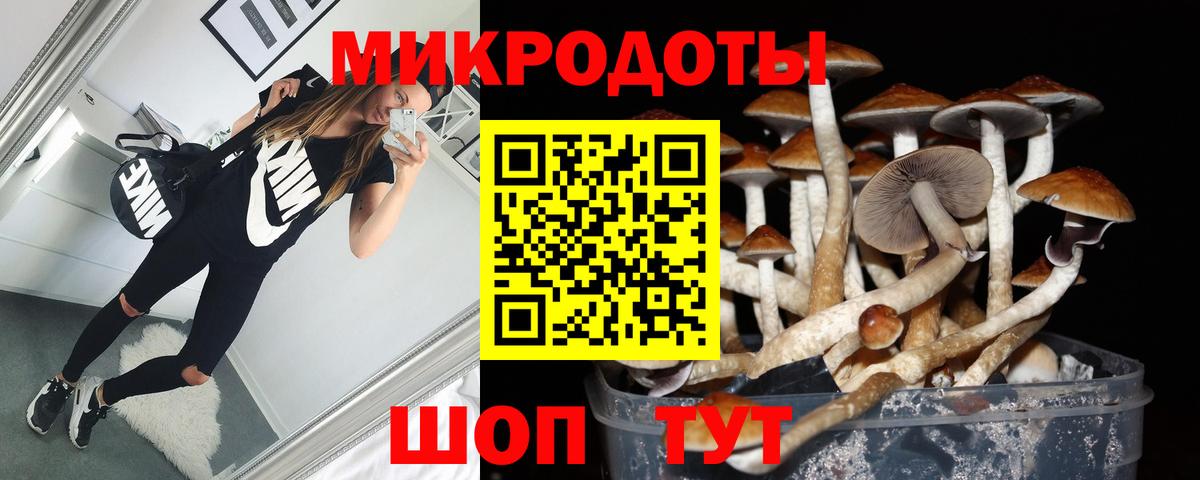 Брянск  Галлюциногенные грибы ЛСД  Вход с VPN 